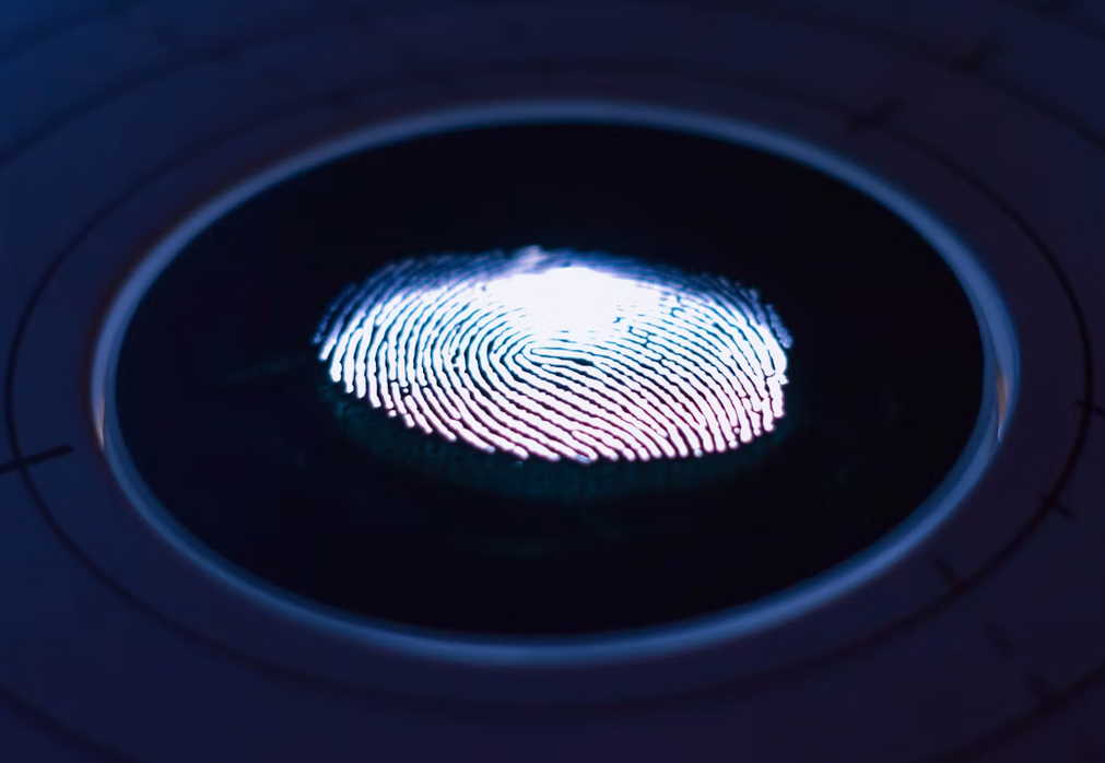 Furto dei dati biometrici: quando finiscono nelle mani sbagliate 2 furto dei dati biometrici